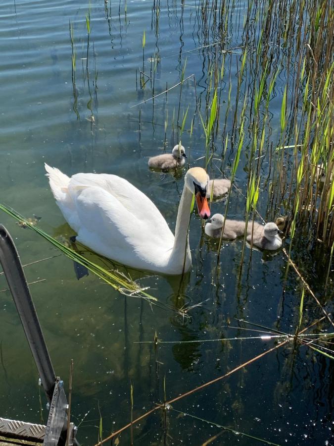 Sweet App Am See Ponitz am See ภายนอก รูปภาพ