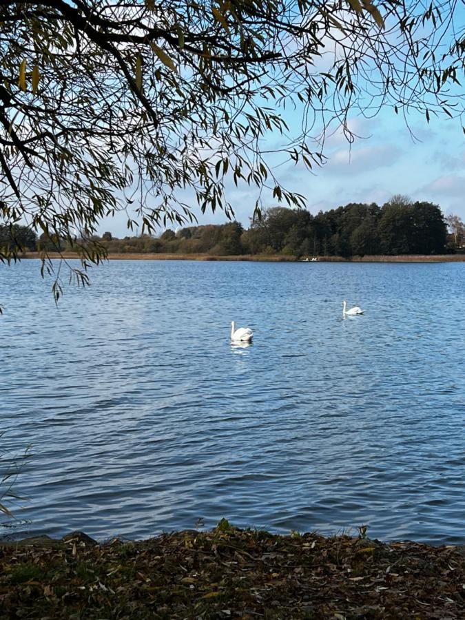Sweet App Am See Ponitz am See ภายนอก รูปภาพ